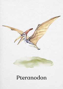 Pteranodon van Gal Design