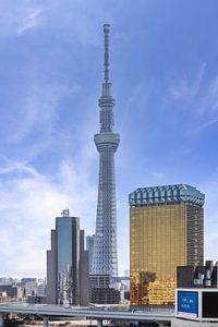 Markanter Tokyo Skytree am Sumida River