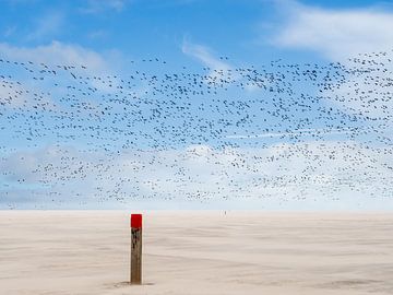 Vogelvlucht in zandstorm van Jan Huneman