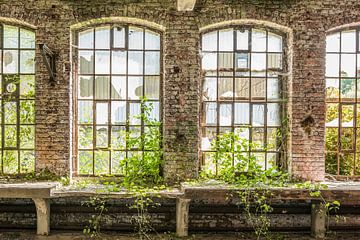 Hoge ramen in een verlaten fabriek van Elles Rijsdijk