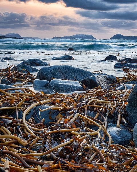 Smashing waves and seaweed on a beach in Alnes, Godøy, Norway by qtx