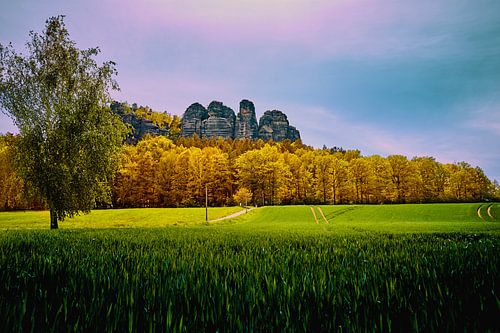 Germany, Saxon Switzerland - On the way to the Pfaffenstein