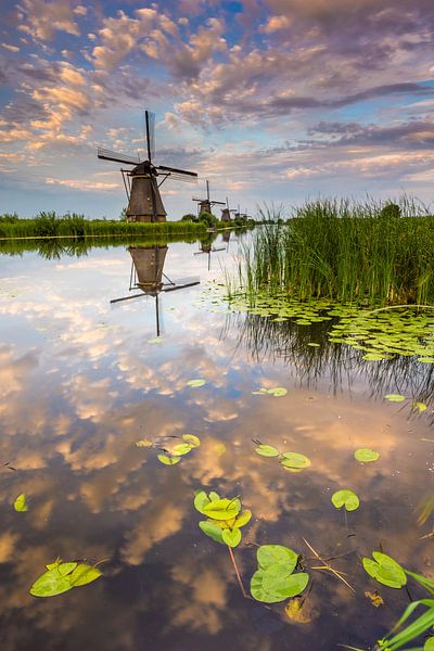 Moulins de Kinderdijk par Sander Poppe