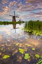 Moulins de Kinderdijk par Sander Poppe Aperçu