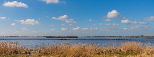 Panoramic view of the ‘ '’ in Roegwold, Groningen by Henk Meijer Photography