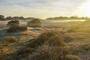 Winterse zonsopgang in de duinen van Dirk van Egmond