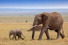 Mama mit Babyelefant von Peter Michel