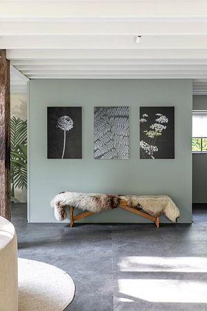 White umbellifer on black background