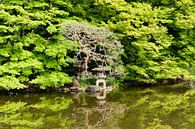 Japanse tuin, zentuin van Color Square thumbnail