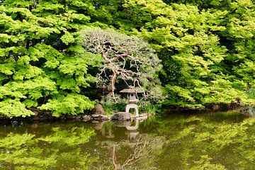 Jardin japonais, jardin zen sur Color Square