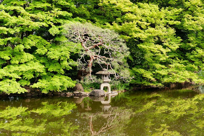 Jardin japonais, jardin zen par Color Square