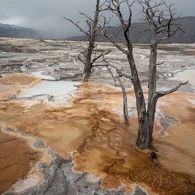 Yellowstone by A.Westveer