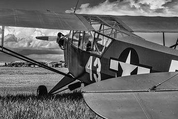 L-Birds over Normandy. by Luchtvaart / Aviation