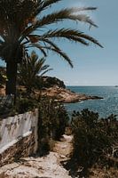 Landschapsfoto tijdens mijn wandeling in Ibiza Stad