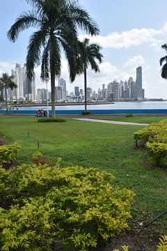 Ein Garten an der Promenade Cinta Costera