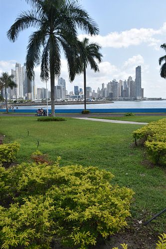 Een tuin van de promenade Cinta Costera