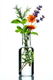 Kräuterstrauß von Poster Art Shop