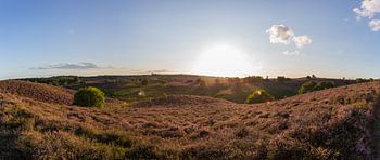 Panoramafoto van de zonsondergang op de Posbank