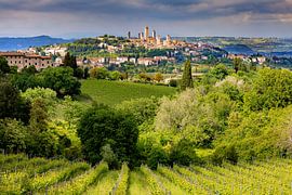 Ansicht von San Gimignano 7, Italien von Adelheid Smitt