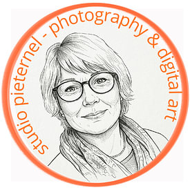 Studio Pieternel Profilfoto