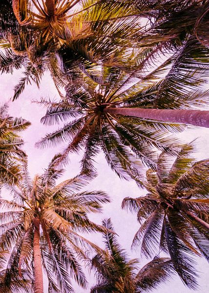 PASTEL PALM TREES no5b von Pia Schneider