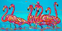 Gruppe von Flamingos im Wasser