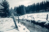 Winter Landscape