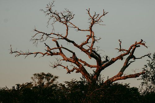 Zonsondergang, Zuid-Afrika