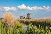Dutch landscape