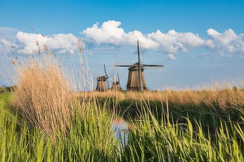 Paysage hollandais