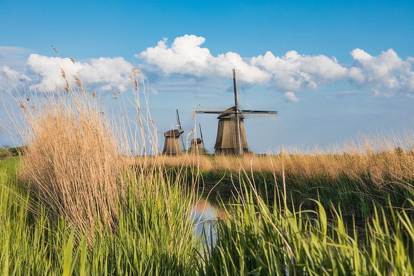 Dutch landscape by Jan Schneckenhaus