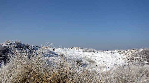 Winterfotografie...