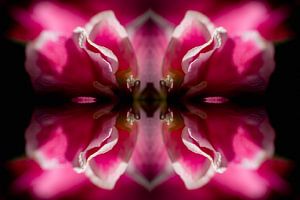 Whispering Bloom