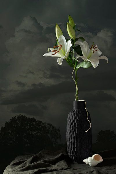 Still life 'White lily' by Willy Sengers