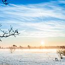 Snow landscape by Thomas van der Willik thumbnail