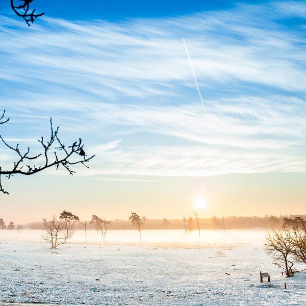 Sneeuwlandschap van Thomas van der Willik