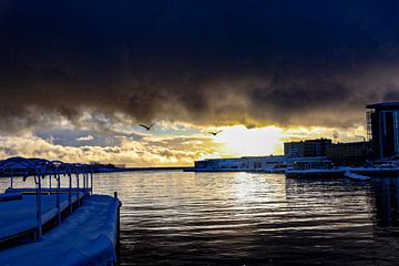 Winterse zonsondergang met vogels