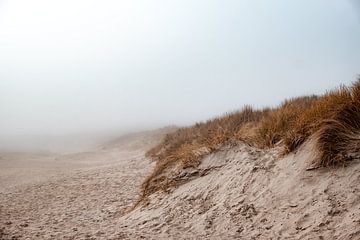 Natuurpark de Slufter gehuld in de mist II | Een reis over Waddeneiland Texel van Roos Maryne - Natuur fotografie