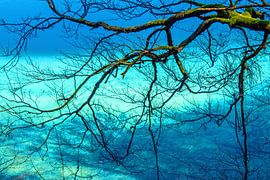 Karibikfeeling von Christa Kramer