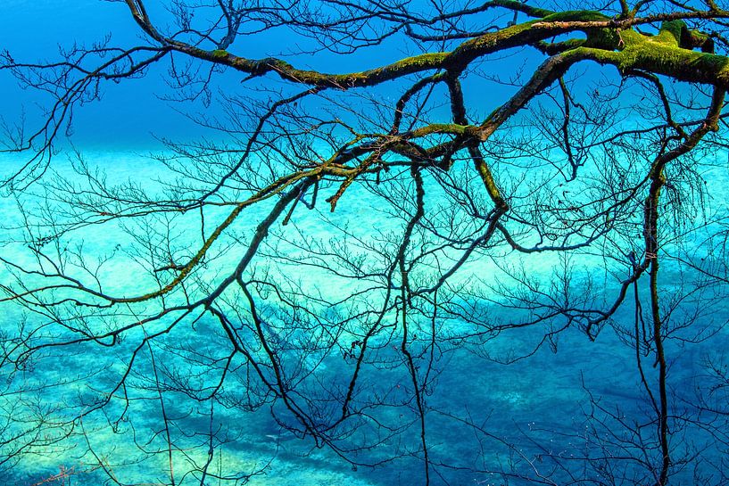 Caribbean feeling by Christa Kramer