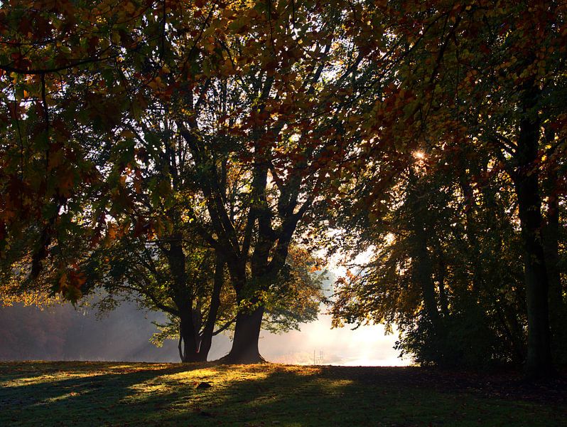 givre blanc 14 par Edgar Schermaul