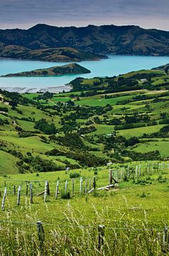 Banks Peninsula in Nieuw Zeeland van Ricardo Bouman