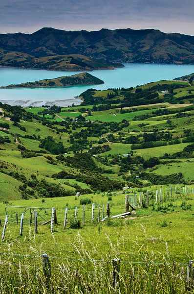 Banks-Halbinsel in Neuseeland von Ricardo Bouman Fotografie