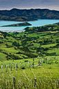 Banks Peninsula in Nieuw Zeeland van Ricardo Bouman thumbnail