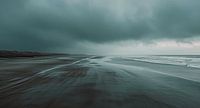 Rust voor de storm: De dualiteit van de natuur