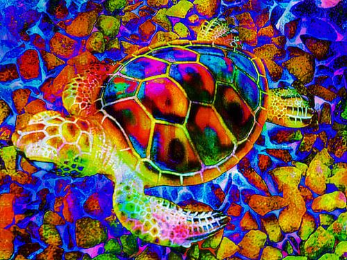 Tortue arc-en-ciel