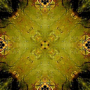 The Green Sign – Hidden, Living Geometries