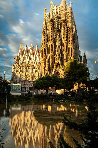 Barcelona by Hello Pompoyo