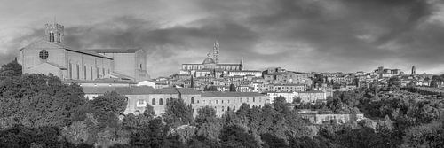 Panorama van de stad Siena in Italië in zwart-wit.