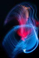 Un lightpaint cool avec du bleu et du rouge